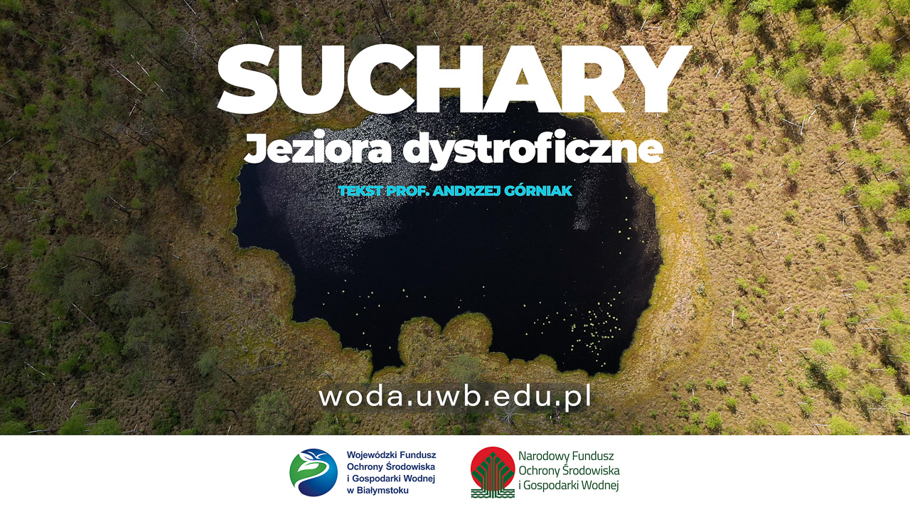 suchary.jpg