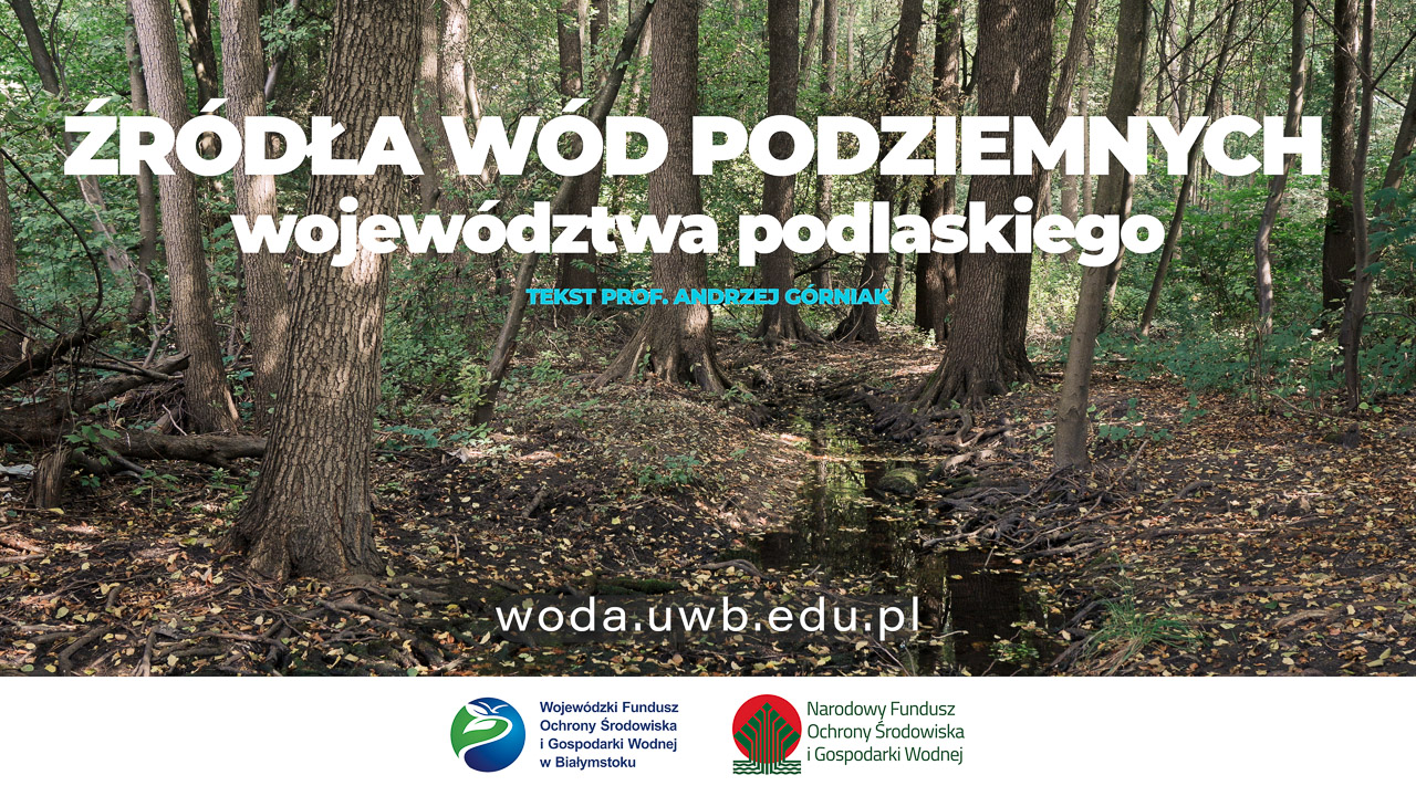 zrodla_wod_podziemnych.jpg