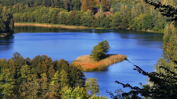 Jezioro Szurpiły. Fot. M. Bartoszewicz